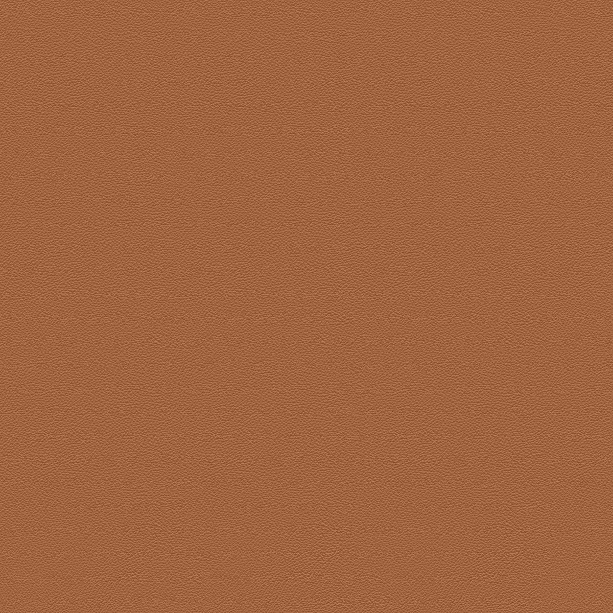 Pelle SC 66-India