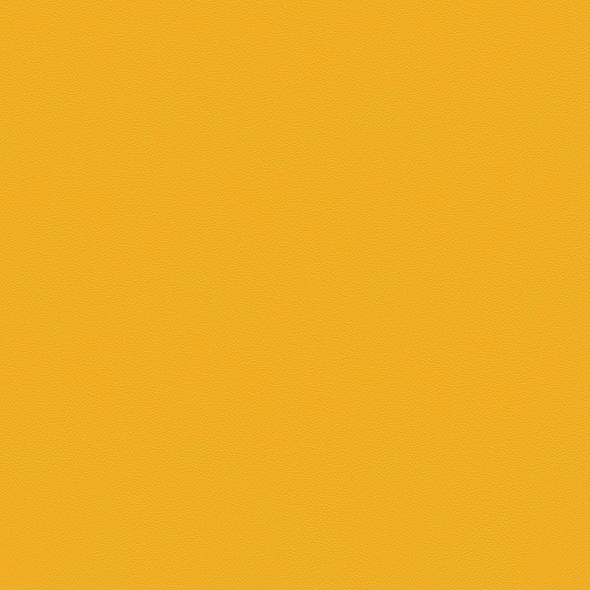 SC 黄色 Acqua di Parma